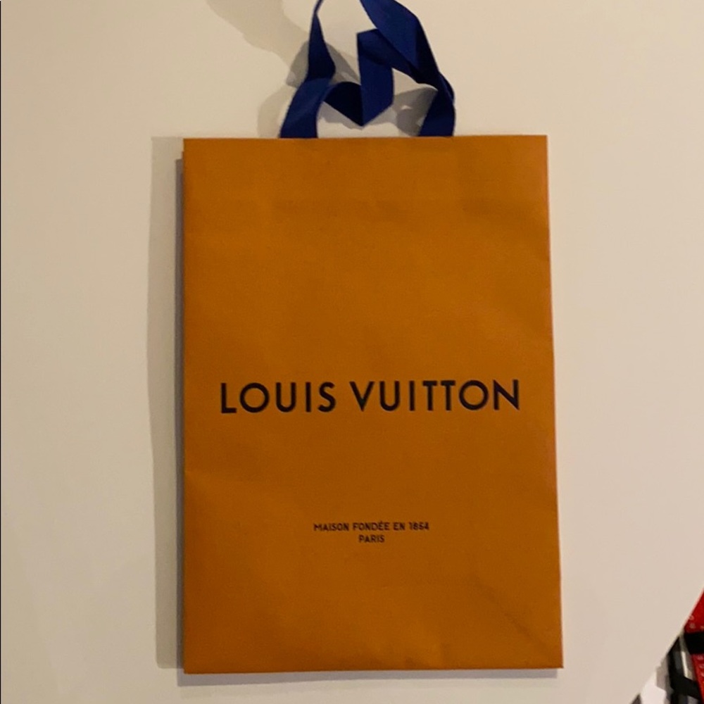 LOuis Vuitton shopping bag